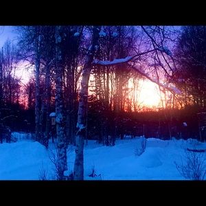 Meet your Posher, Pauli